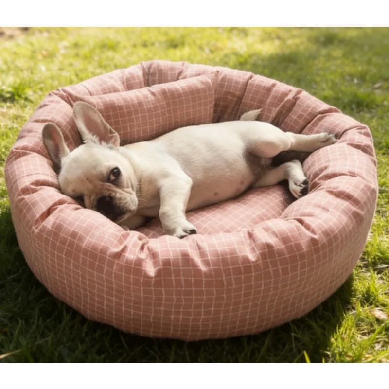 Set Cuccia e Tappetino per Animali Domestici Quattro Stagioni, Cuccia in Cotone Traspirante per Cani e Gatti, Nido Multifunzionale per Tutte le Condizioni Atmosferiche