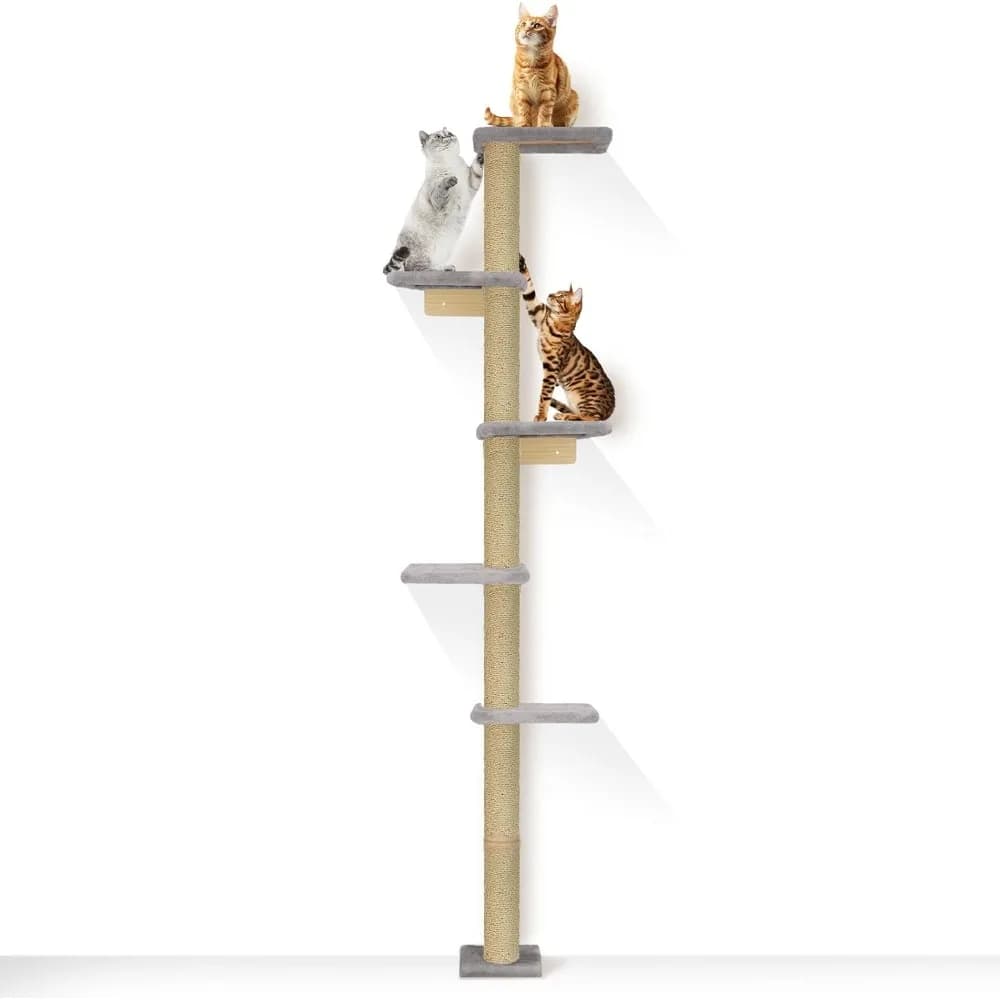 PAWSCRAT Albero per gatti a parete, torre per gatti a 5 livelli dal pavimento al soffitto, tiragraffi per gatti a parete da 80 pollici, gatto salvaspazio F