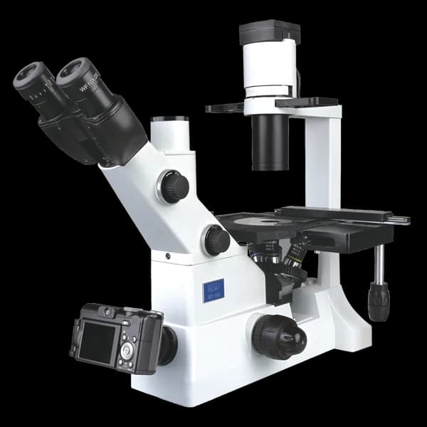 Microscopio biologico invertito XD-202