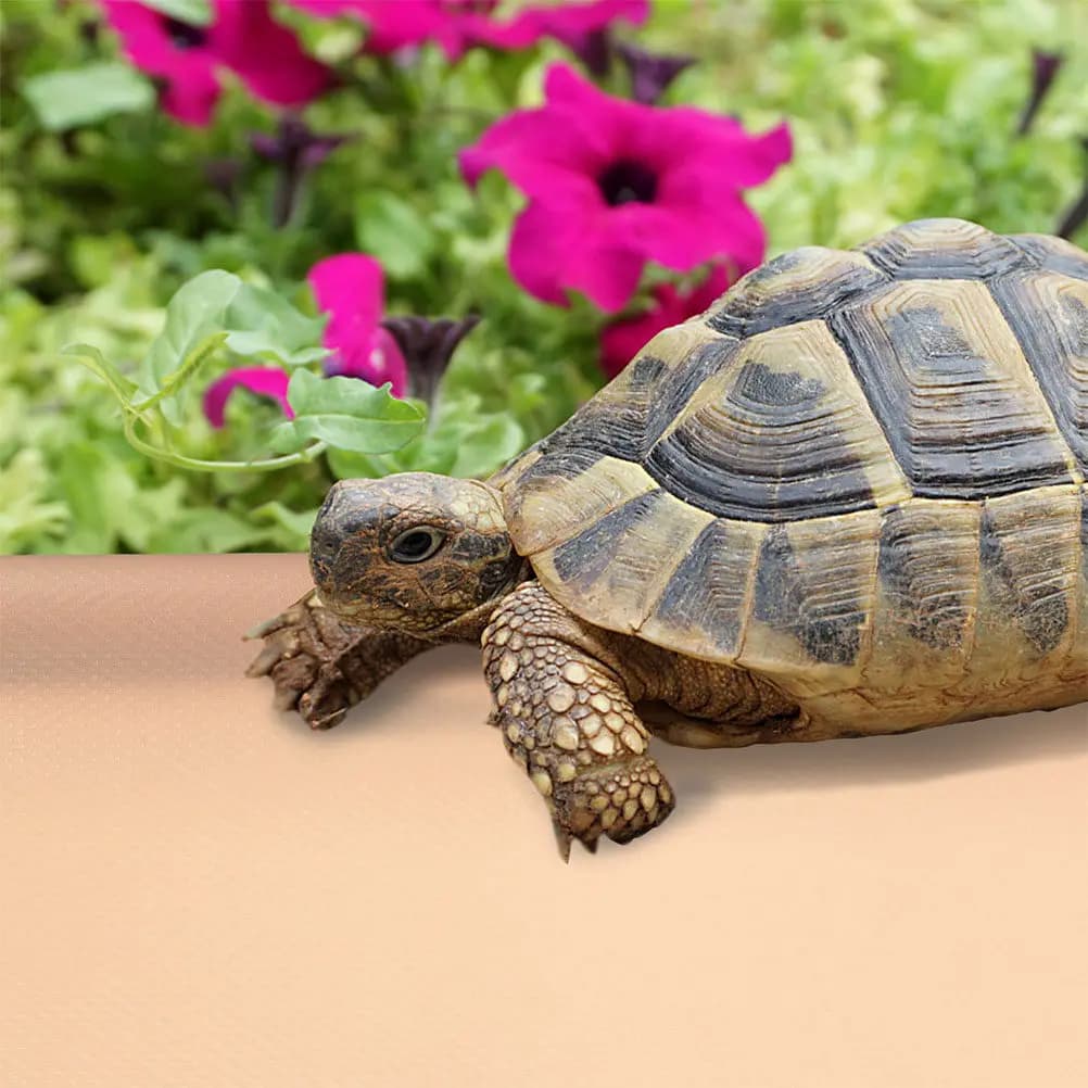Reptile Terrarium Carpet Eva Substrate Mat for Turtle Gecko Bearded Dragon Snake Lizard Tank Bedding Liner Dust Resistant Pet