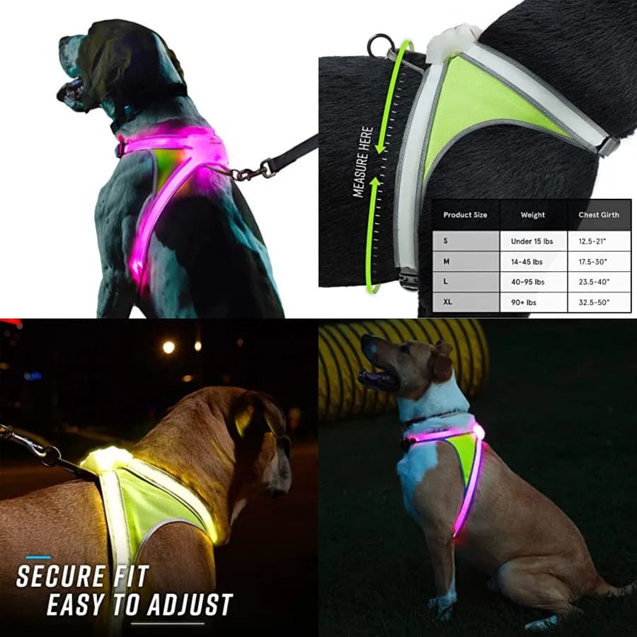 Rivoluzionaria Guinzaglio Illuminato e Riflettente per Cani con Fibre Ottiche LED Multicolore, Ricaricabile USB, Regolabile, Leggero