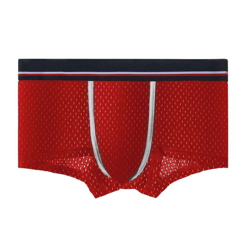 Men's Silk Cups Ice Boxer in Network Men's Slim and Breathable Boxer Ripped U Sexy Schoolgirl Pants