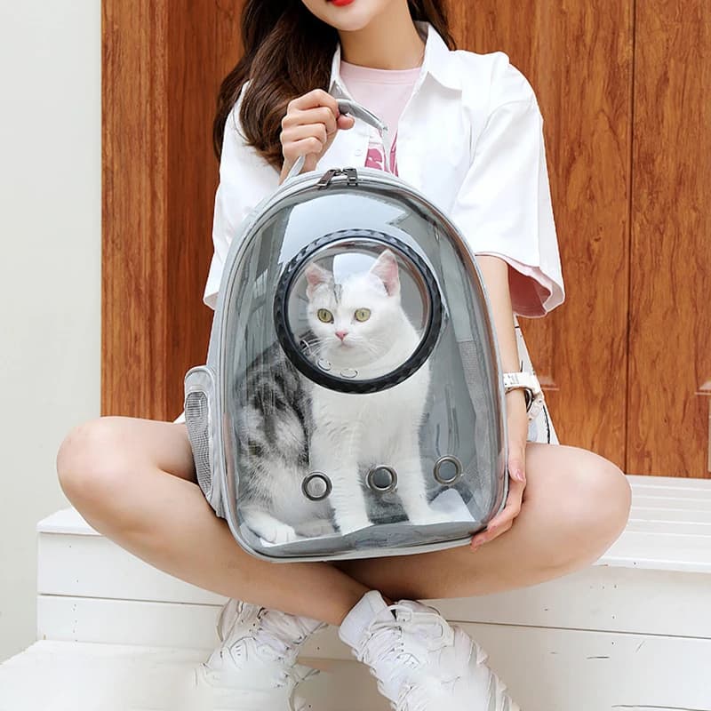 Borsa da trasporto per gatti per animali domestici Zaino da viaggio portatile traspirante per animali domestici Borsa trasparente Borsa per capsule spaziale per trasporto animali domestici