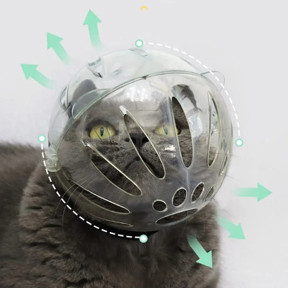 Copri testa di gatto Maschera spaziale Cappuccio con museruola robusto e traspirante Casco protettivo per gattini a forma di palla Forniture per toelettatura animali anti-morso