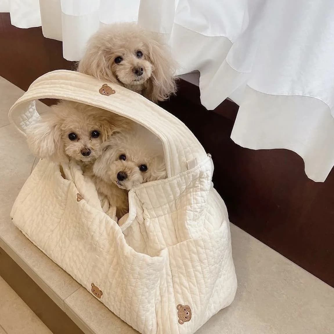 Borsa da trasporto per cani da compagnia Borse a tracolla per cuccioli da viaggio all'aperto Borsa a tracolla portatile a mano libera per animali domestici