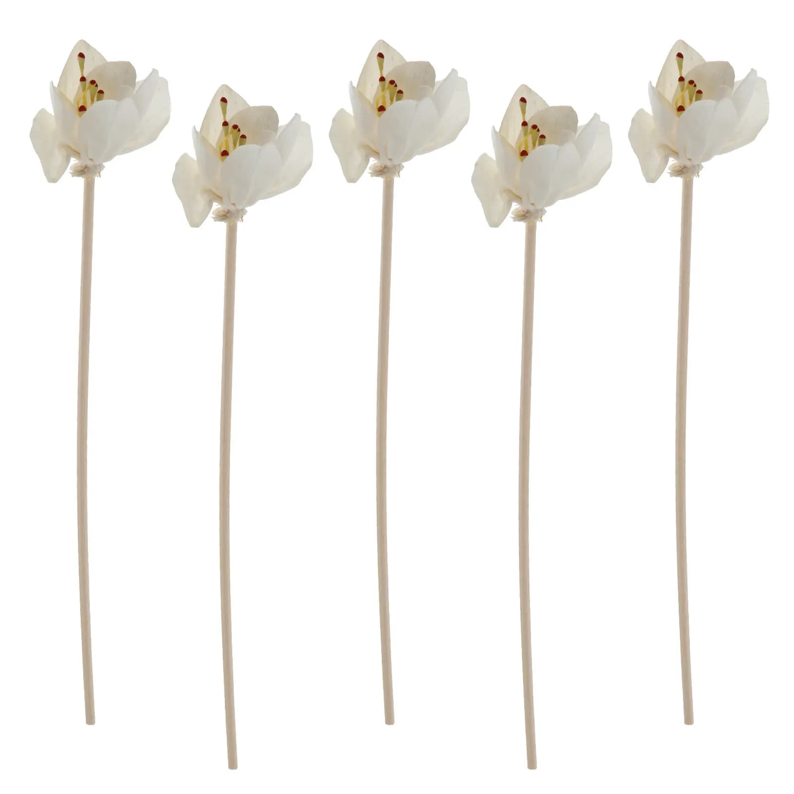 5 Pezzi Diffusori in Rattan a Forma di Fiore, Bastoncini in Legno per Diffusione di Aromi, Accessori per Bottiglie di Oli Essenziali, per Cucina, Soggiorno, Hotel