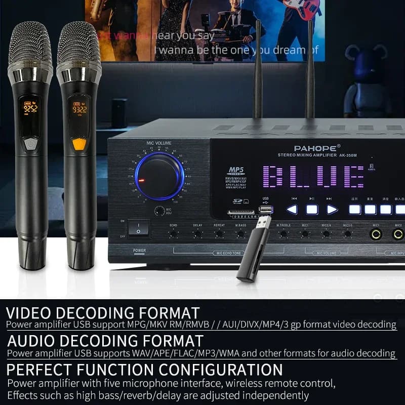 Amplificatore di Potenza per Karaoke Domestico con DSP, Ricevitore Audio a 2.0 Canali, Microfono Wireless, Supporto Funzione USB - Metallo Bt