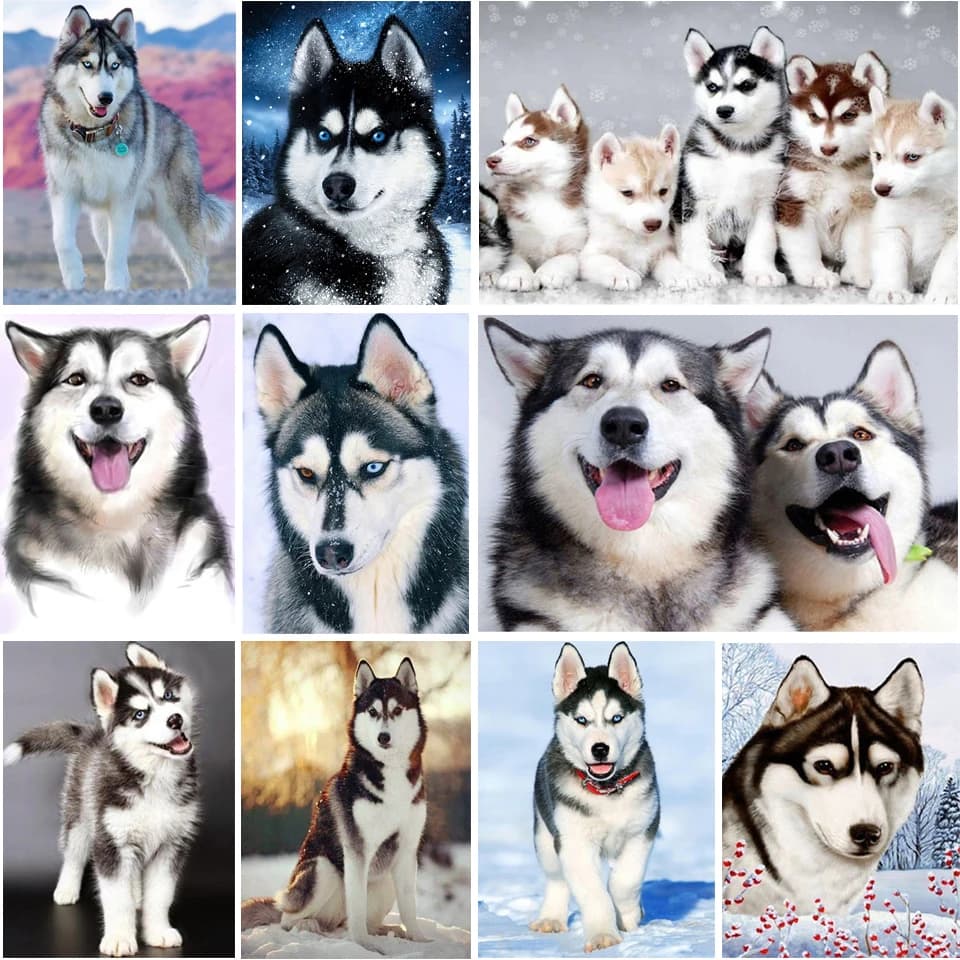 Kit Pittura Diamante 5D Fai da Te, Quadro Animale Husky, Ricamo Completo con Diamanti, Mosaico di Strass a Forma di Cane, Kit Punto Croce, Decorazione per Mobili