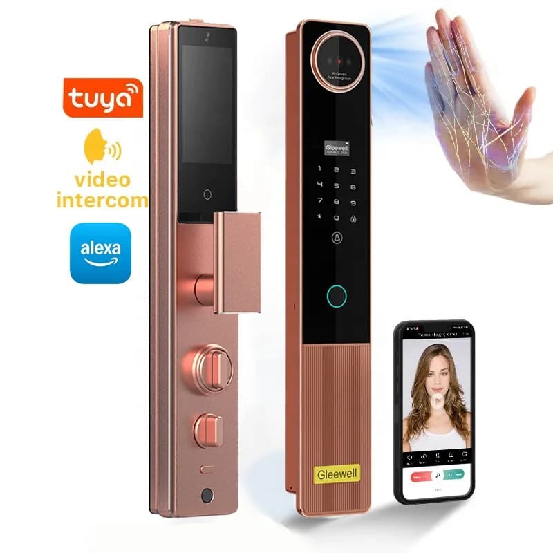 Fornitore dorato Alexa Vena di palme intelligente Riconoscimento facciale 3D Impronta digitale Tuya Serratura videocitofono con telecamera Smart Lock