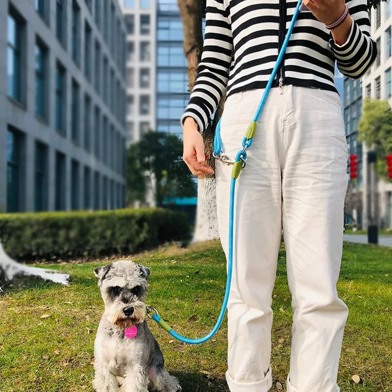 Guinzagli Riflettenti in Nylon per Cani, Corda di Trazione per Passeggiate, Guinzaglio a Mani Libere per Cani Piccoli e Grandi