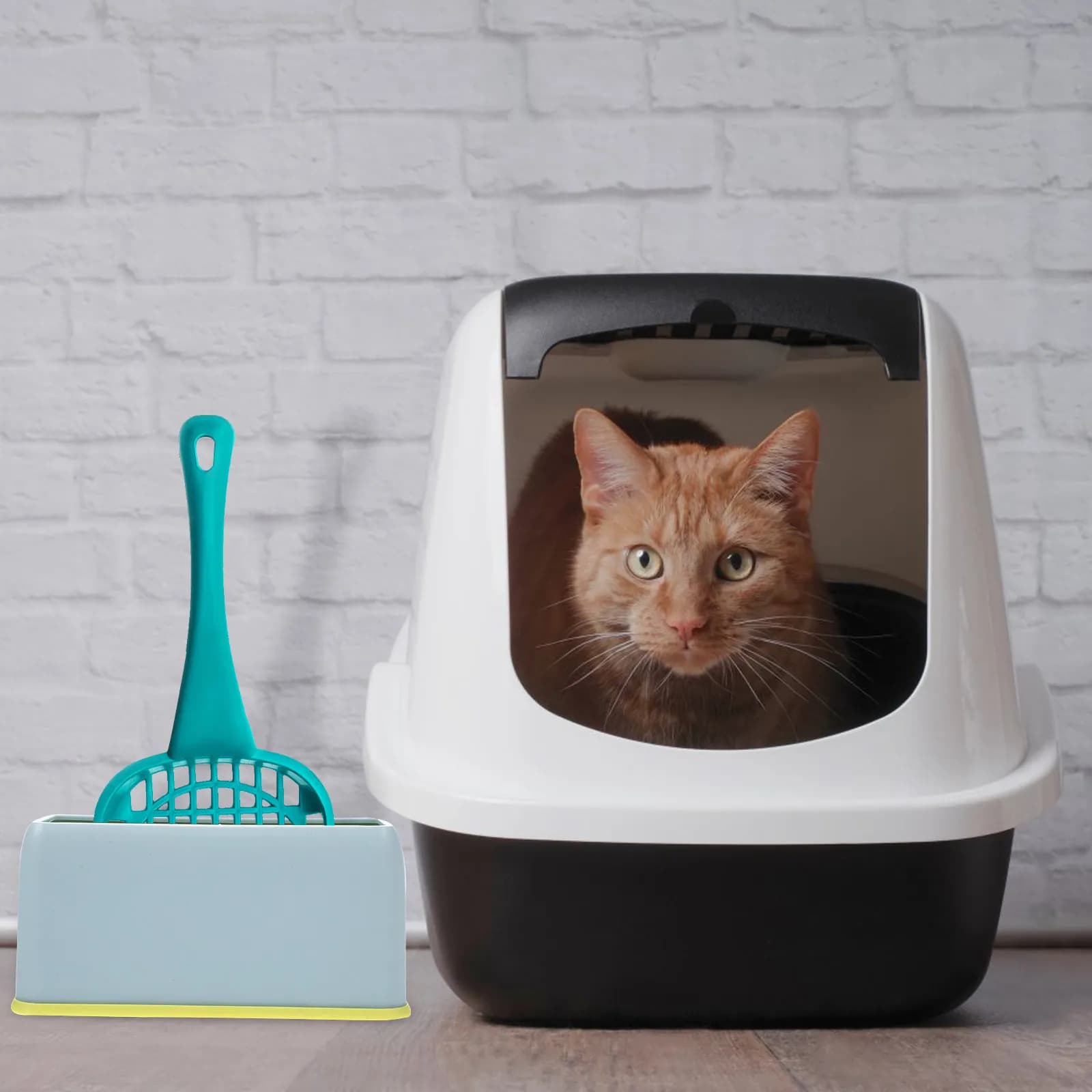 2 Pezzi Supporto Decorativo per Paletta Lettiera Gatti, in Plastica Resistente, Porta Paletta per Mantenere i Pavimenti Ordinati e Raccogliere i Residui di Lettiera