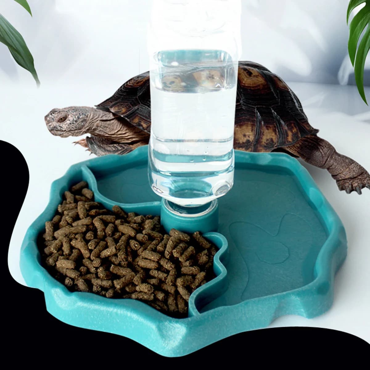 1 pezzo: mangiatoia per rettili, piatto per cibo per tartarughe, ciotola per piccoli animali domestici per rettili e anfibi, rimovibile, facile da pulire, piccole forniture per animali domestici
