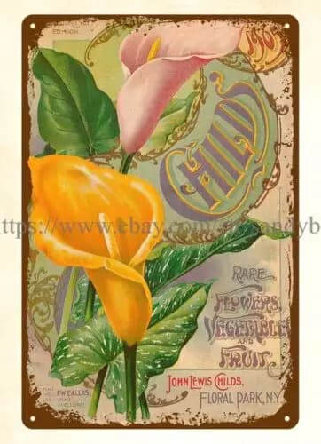 signs 1905 Childs John Lewis Rare Flowers Vegetables Fruit seeds metal tin sign