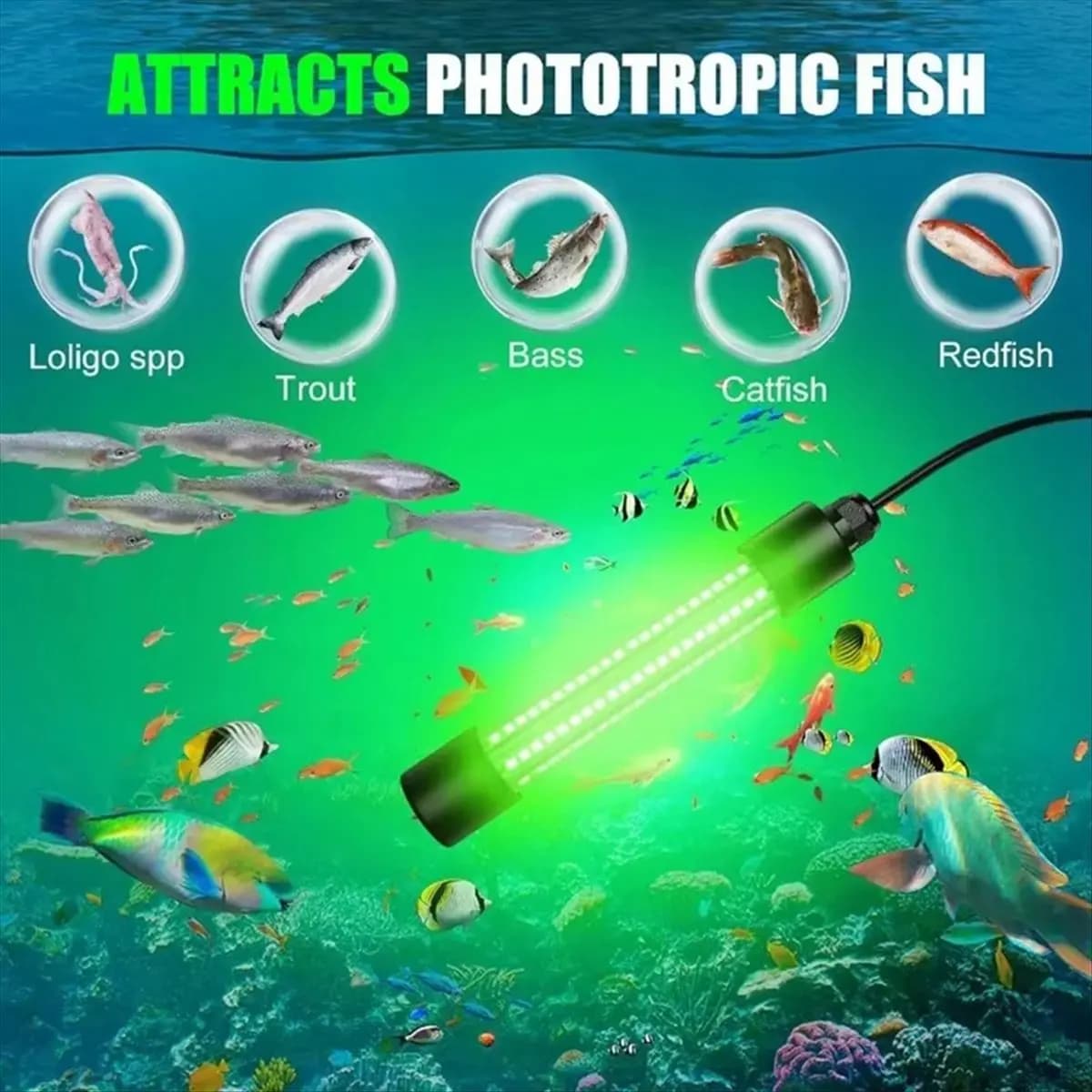 Luce LED Subacquea X07A per Pesca Notturna Compatibile con Ryobi 18V, Impermeabile IP68