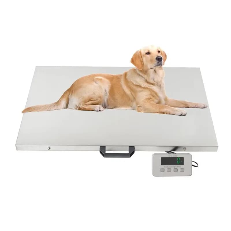 Bilancia Digitale per Animali 180kg, Bilancia Postale Personalizzata in Acciaio Inox per Pacchi e Bagagli