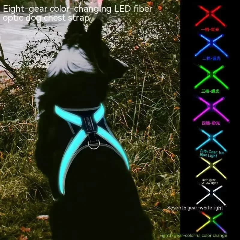 Collare per Cani con Cambio Colore, Gilet Riflettente Antiesplosione, Pettorina Regolabile con Luce LED, Guinzaglio per Animali Domestici