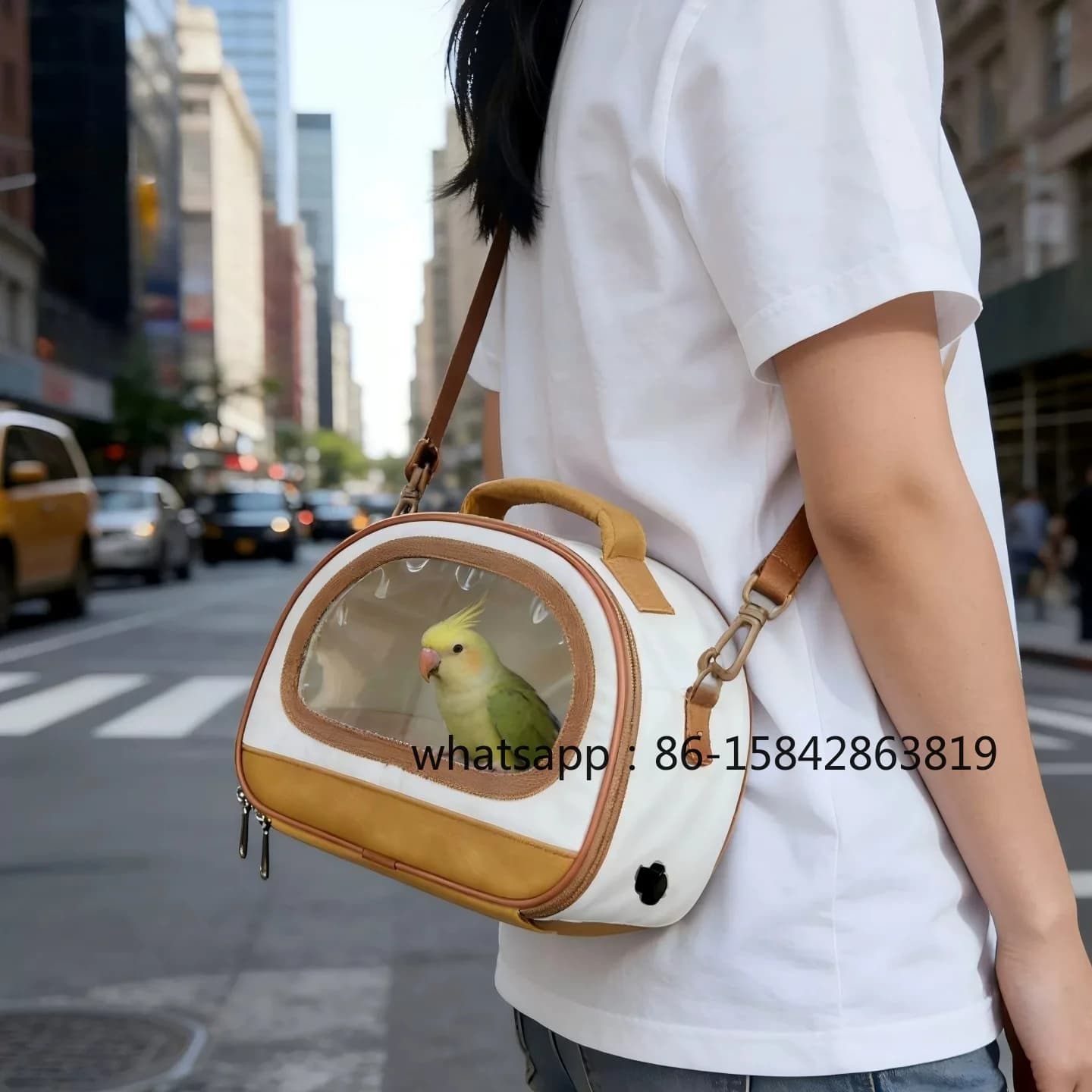Portable Small Pet Travel Carrier, Transparent Ventilated Carry Bag for Bunny, Guinea Pig, Hedgehog, Parakeet Outdoor Trip