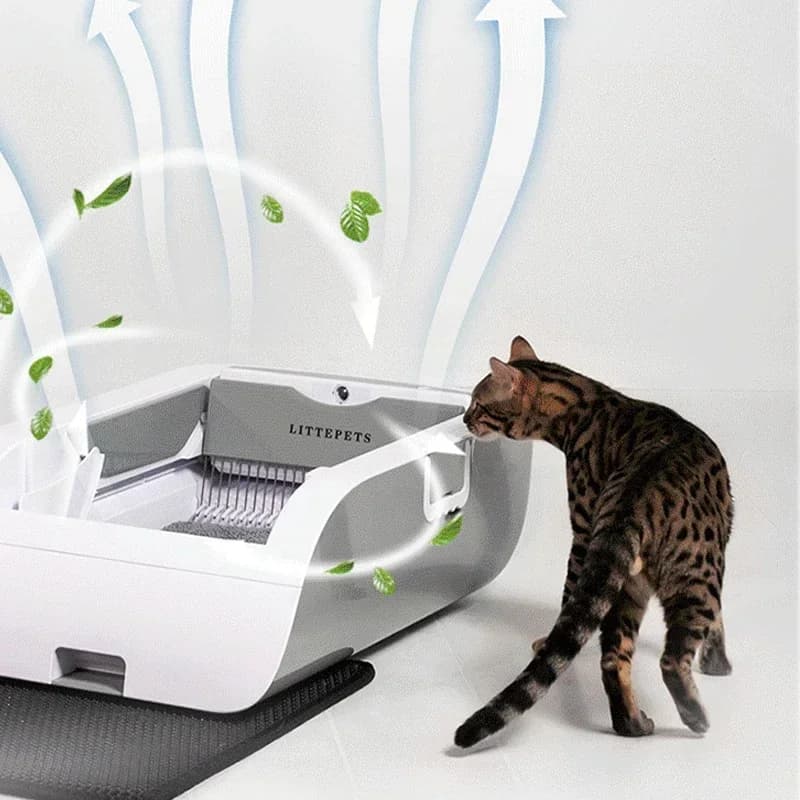 Bacino elettrico intelligente per lettiera per gatti 220v Bacino automatico Pulizia automatica Sterilizzazione Deodorizzazione Pala Toilette per gatti sicura