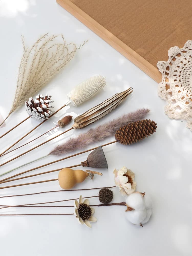 Materiale di Fiori Secchi per Decorazioni Domestiche, Zucca Ornamentale, Pianta Ecologica Originale, Decorazione Zen per la Stanza