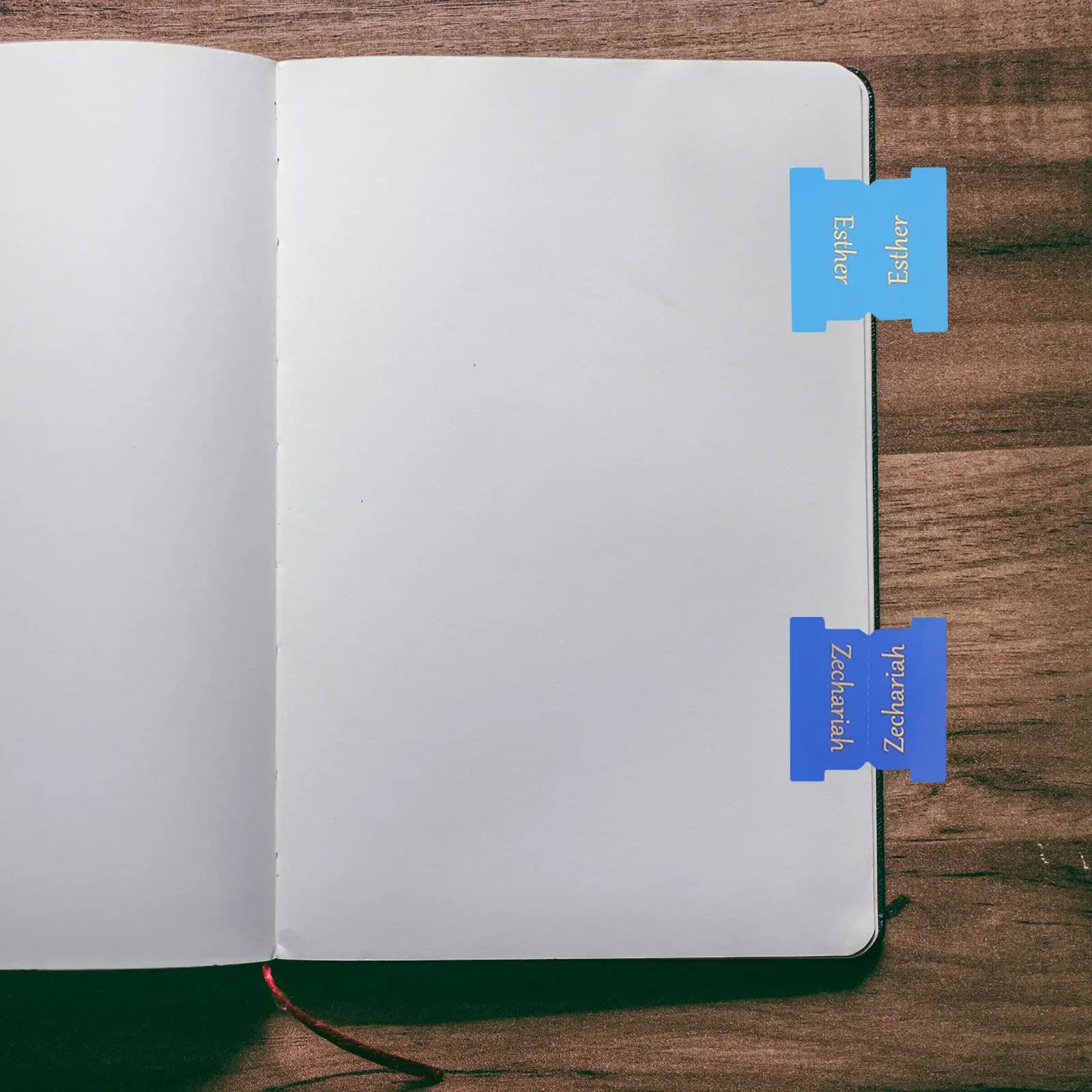 6 Fogli di Segnapagina Adesivi per Planner, Organizzatori per Note di Lettura e Studio, per Casa, Ufficio e Scuola