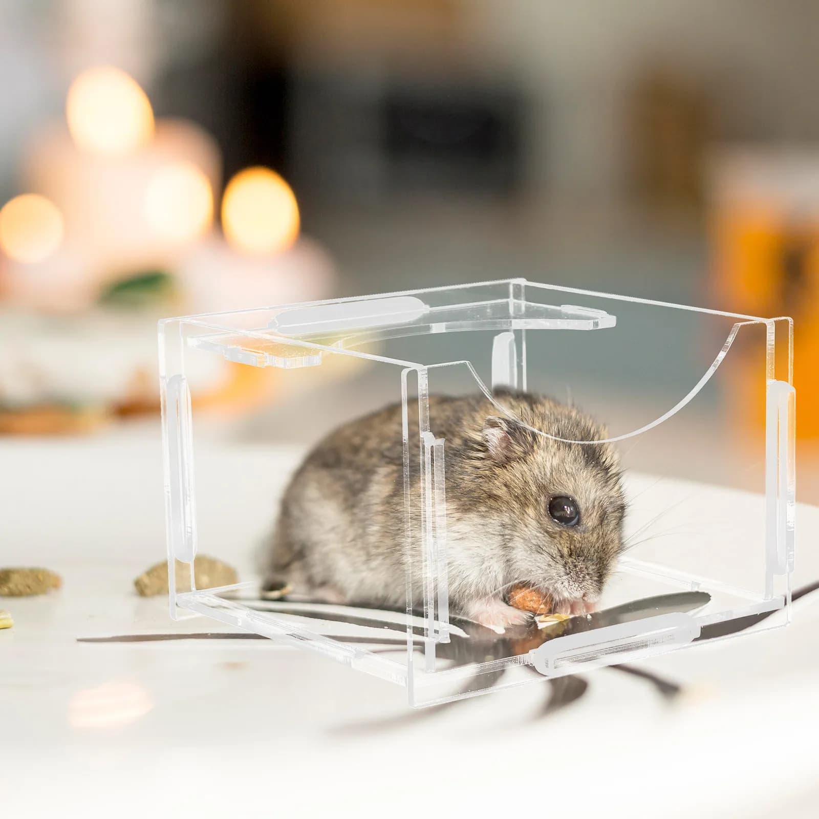 Acrylic Food Basin Creative Shape Hamster Feeding Dish Small Pet Food Bowl for Guinea Pig Rabbit Squirrel Acrylic Hamster Feeder