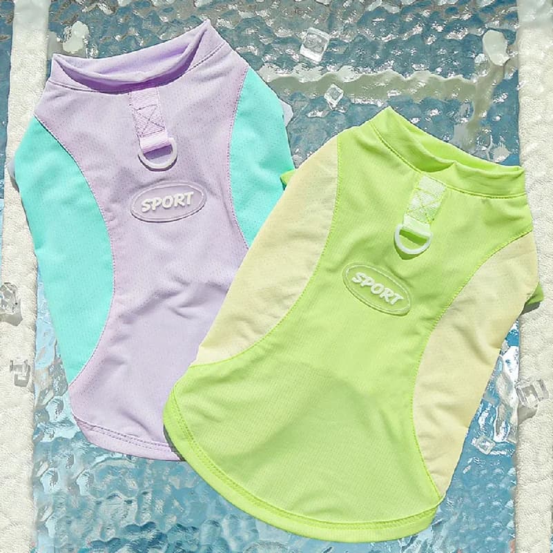Gilet rinfrescante per cani, maglietta traspirante e fresca, protezione solare, camicia rinfrescante per cuccioli per passeggiate all'aperto, addestramento ed escursioni estive