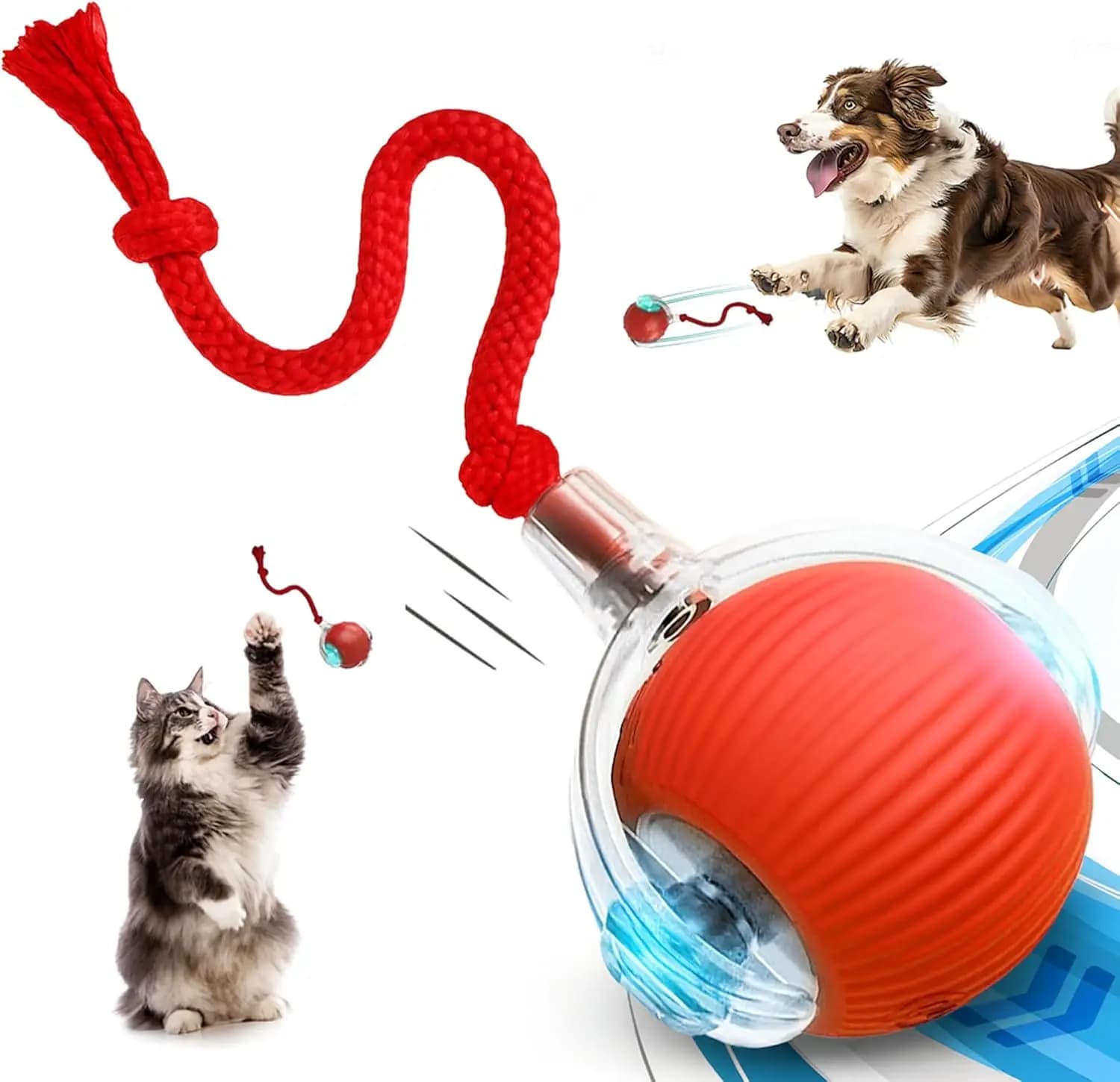 Dog and cat toys, ball, durable, for autonymous entertainment, with rope, cat teaser ball, pet articles, bouncing ball, pet toys Thud