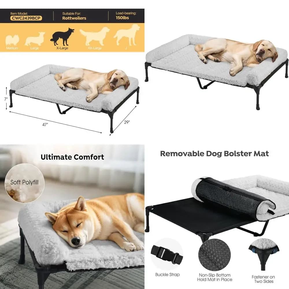Cuccia Ortopedica Rialzata per Cani con Cuscino Rimovibile in Peluche, Letto Divano Lavabile 47x29, Cuccia Rialzata per Animali Domestici, Rete Traspirante, Antiscivolo