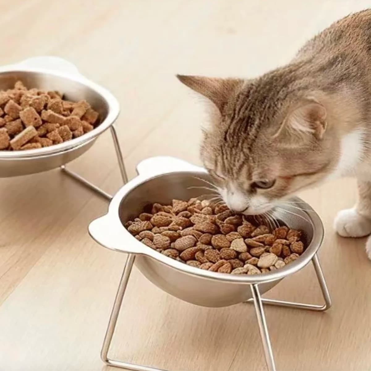 Raised Cat Bowls Tilted Neck Guard Cat Food Bowl 304 Stainless Steel Shatter-resistant Elevated 15° Pet Supplies for Puppy Cat