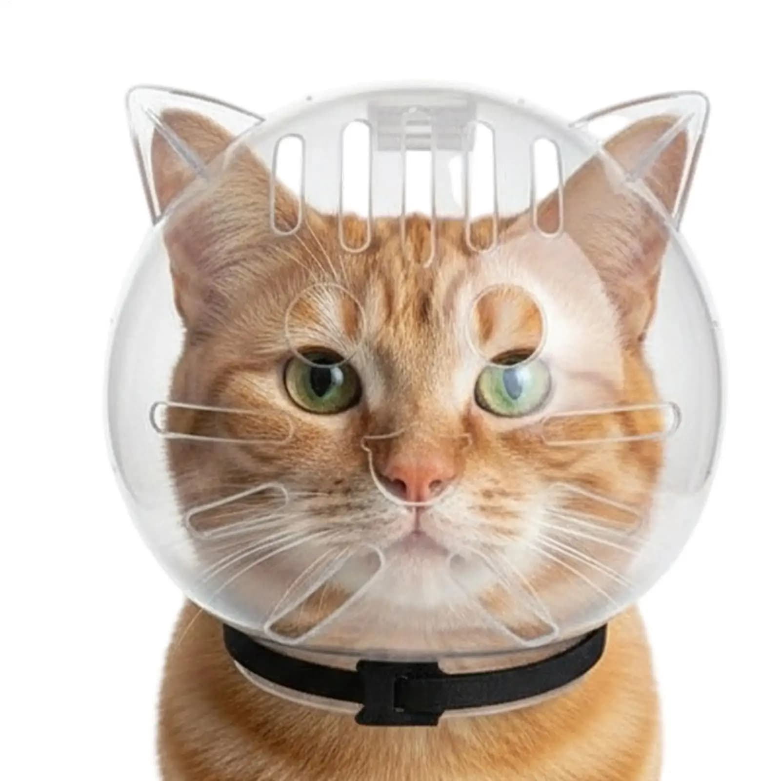 1 PC Cat Muzzle Cat Head Cover Space Hood Ball Shaped Kitten Protective Helmet Anti-bite Pet Grooming Supplies Cat Head Cover