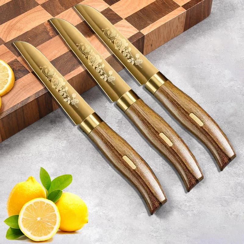 Kitchen Knife Model Plated Titanium Fruit Knife Stainless Steel Kitchen Accessories Vegetable Slicing Knife Kitchen Knife