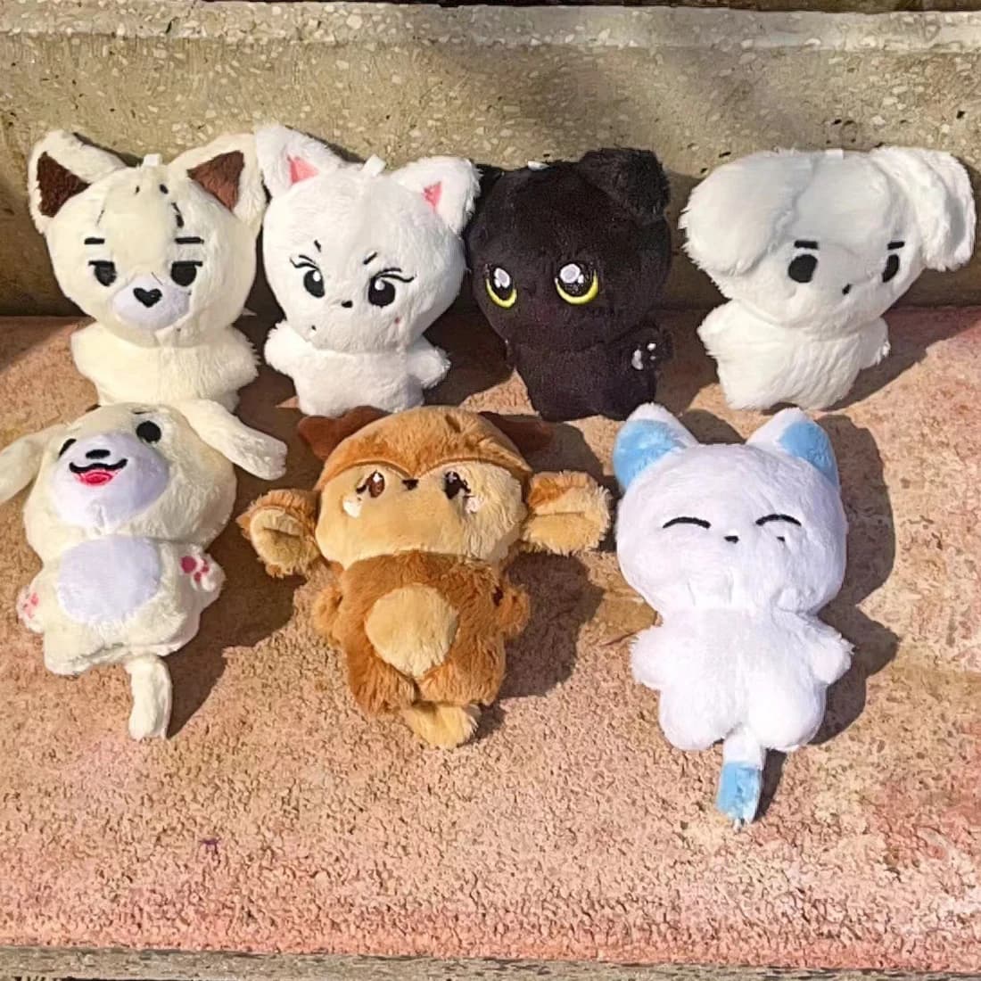 Kpop Peluche JUNGWON HEESEUNG JAY JAKE SUNGHOON Peluche Portachiavi Kawaii Cartoon Ciondolo Accessori Borsa Ventole Regalo