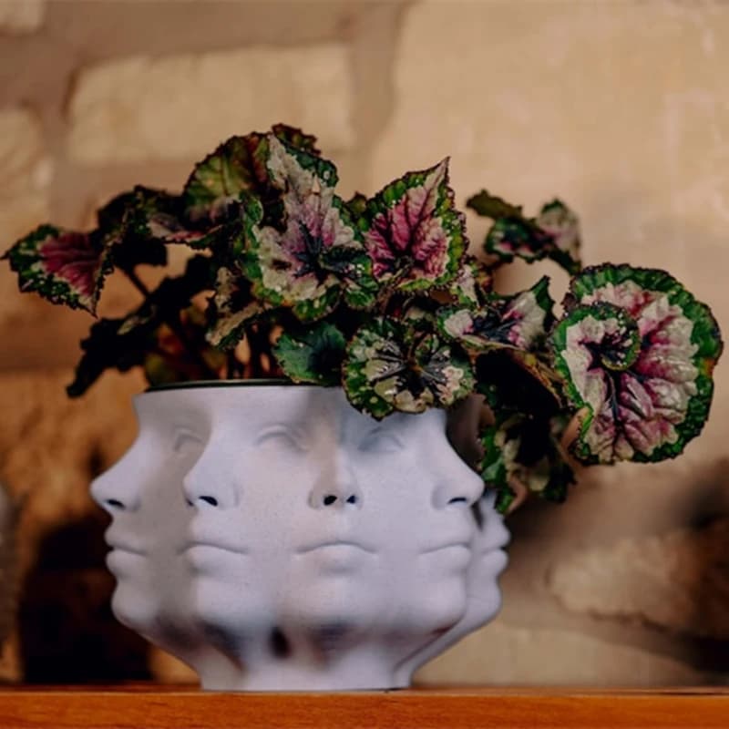 3D Printed Polyface Planter Multi-Length Planter Decorations for Unique House Pot for Plants Indoor Plant Planter Succulent Planter