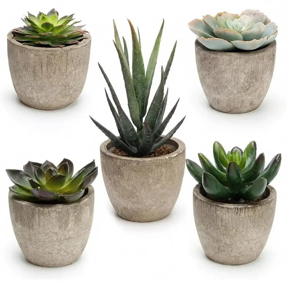 Set of 5 Assorted Decorative Artificial Succulent Plants in Pots