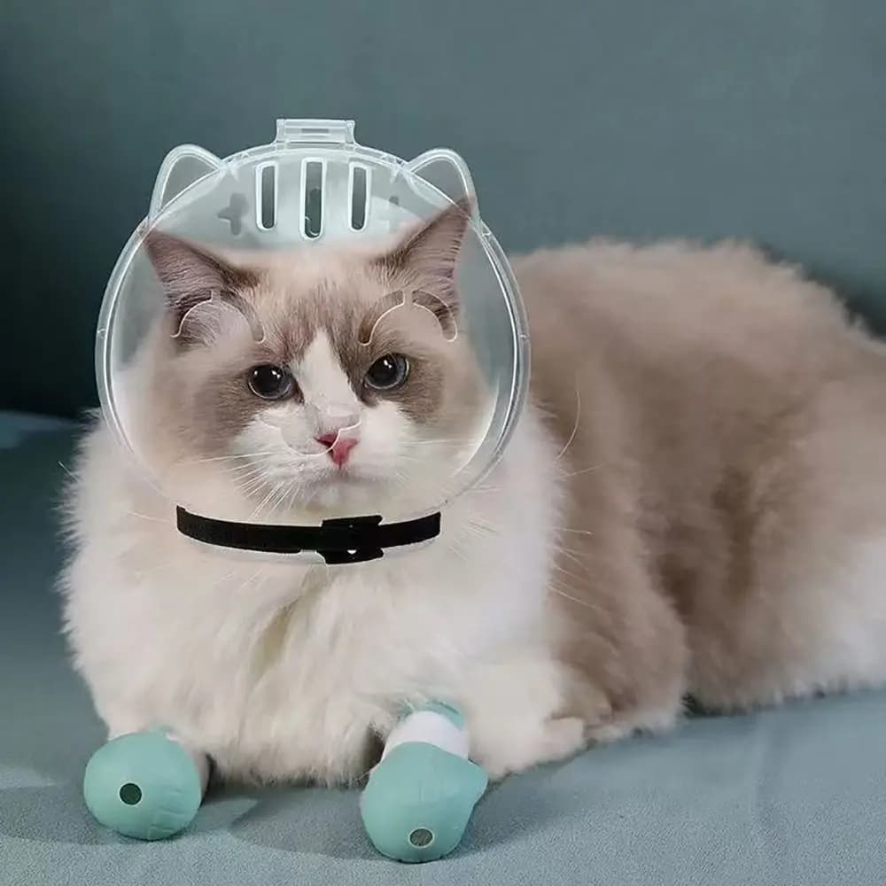Museruola per gatti trasparente e traspirante Anti-morso Anti-leccatura Cappuccio spaziale per gatti Accessori per toelettatura per gatti Copri testa per gatti antigraffio