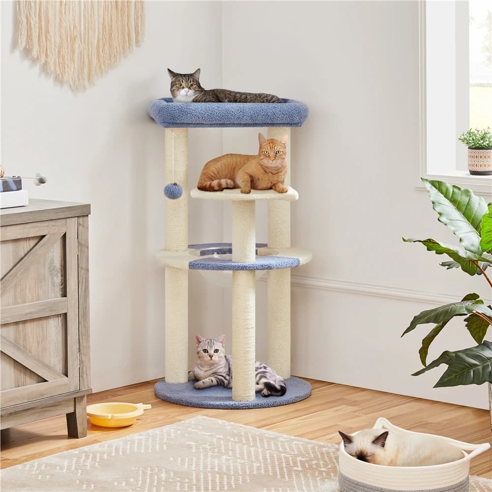 Albero per gatti alto 35,5 pollici in stile marino con amaca trasparente, piattaforma a forma di pesce e palla sospesa - Regalo perfetto
