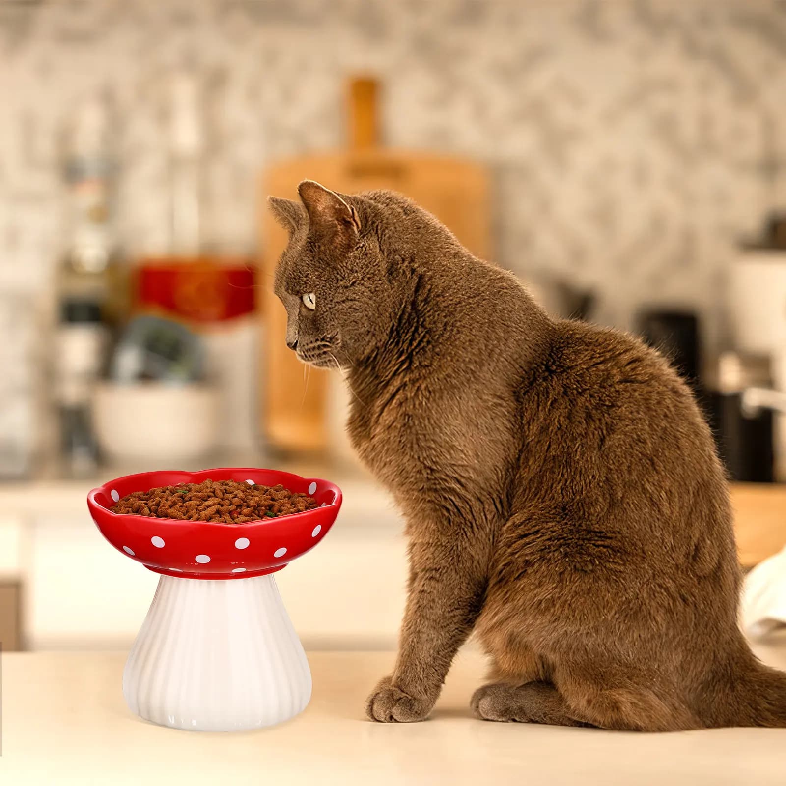 Ciotola in Ceramica Rialzata per Gatti, Ampia e Poco Profonda, Stabile e Antirovesciamento, Contenitore per Cibo per Animali Domestici