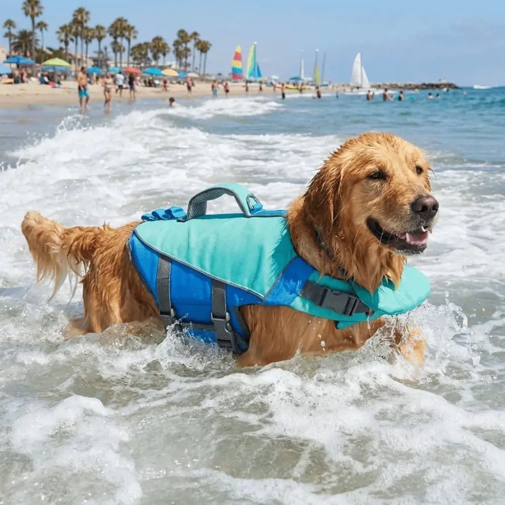 Reflective Stripes Dog Life Jacket Large Buoyancy Breathable Safety Vest Adjustable Pet Life Vest Sailing Activities