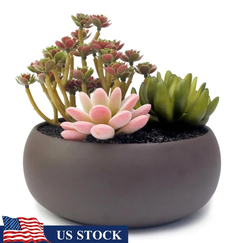 Fioriera rotonda in ceramica non smaltata da 6,7 pollici Cactus per piante grasse Uso interno ed esterno con drenaggio Perfetto arredamento per l'home office