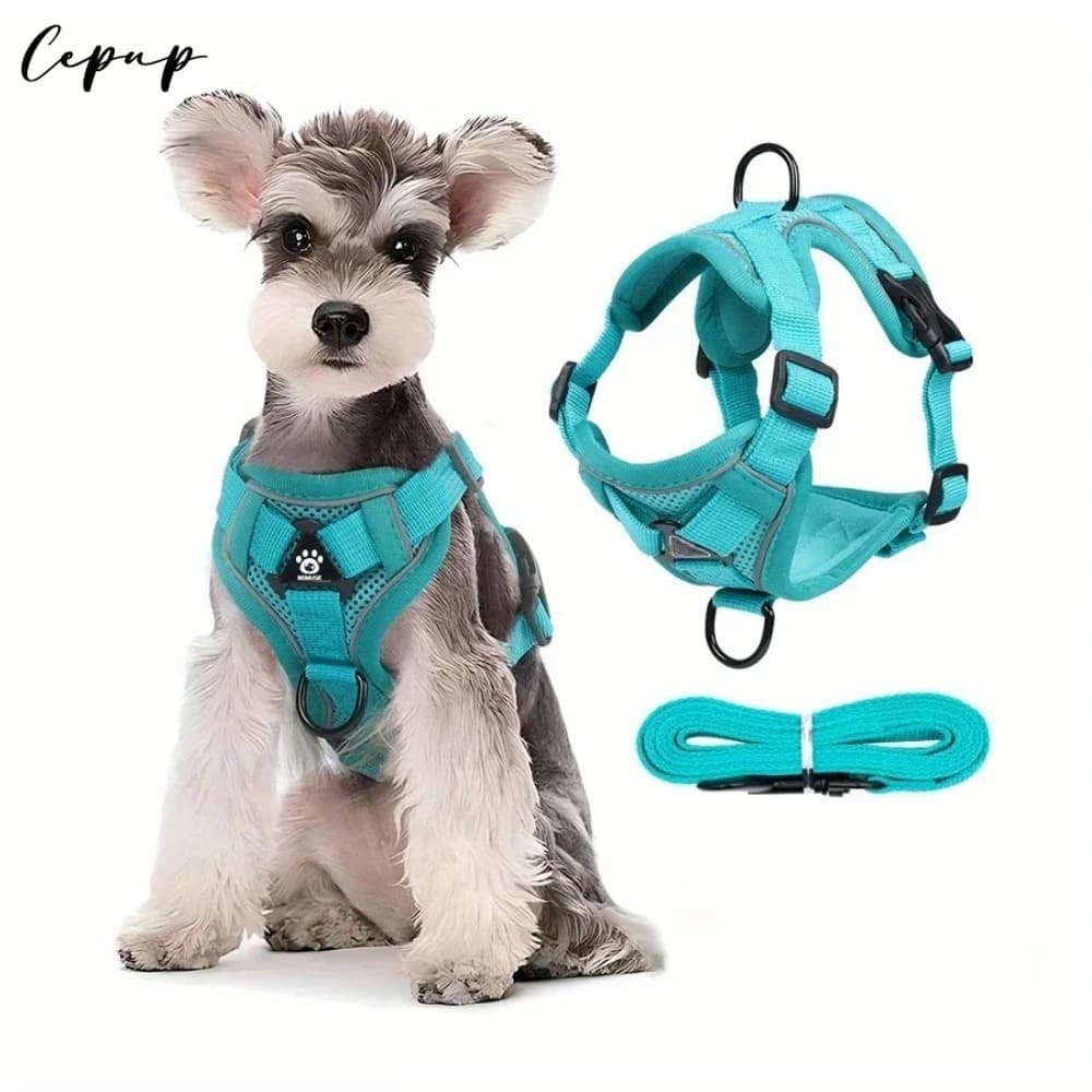 No Pull Dog Harness and Leash Set Adjustable Pet Harness Vest for Small Dogs Cats Reflective Dog Chest Strap Lead Walking