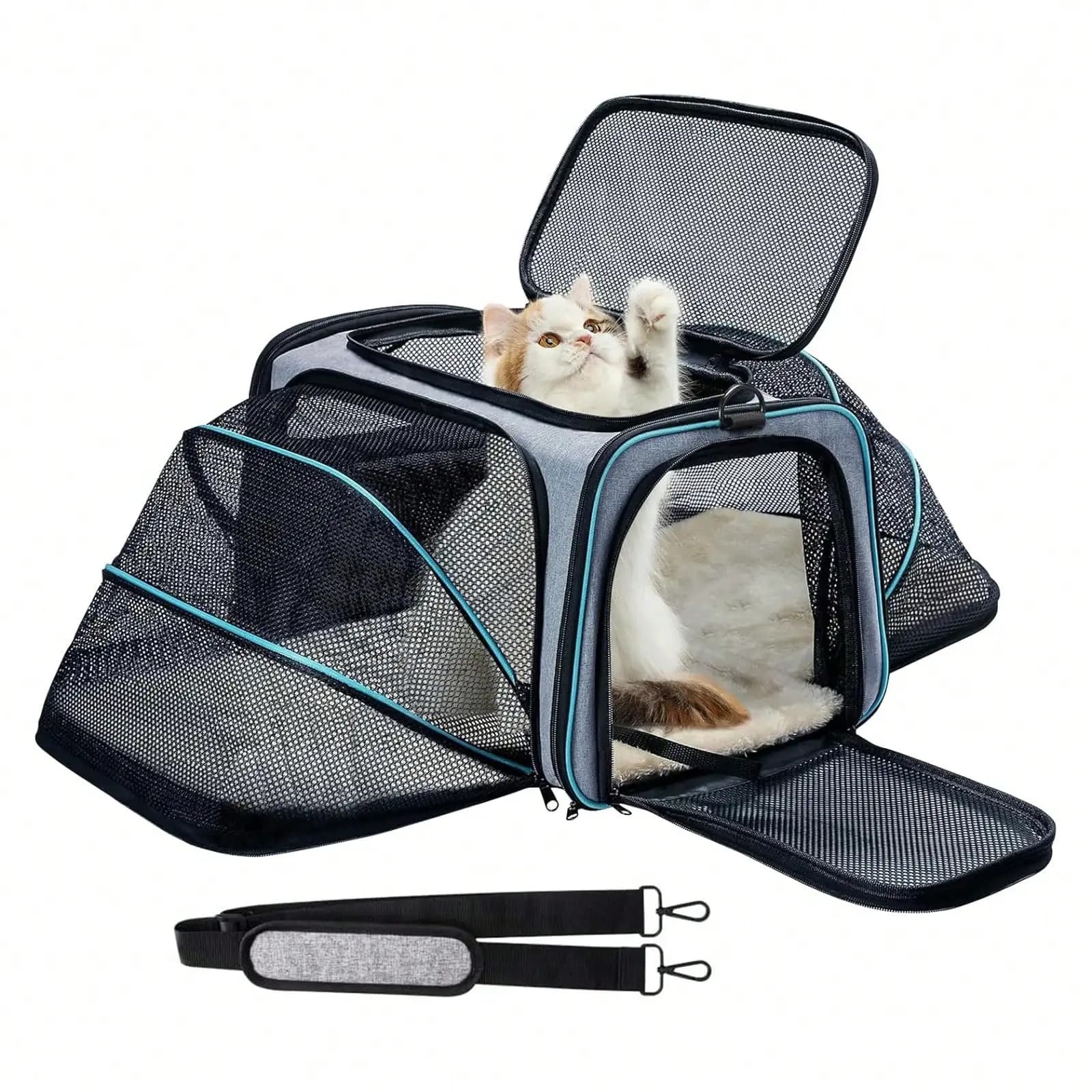 Trasportino per Animali Domestici, Grande Trasportino Morbido Espandibile su 4 Lati per Gatti, Pieghevole con Fondo Rimovibile