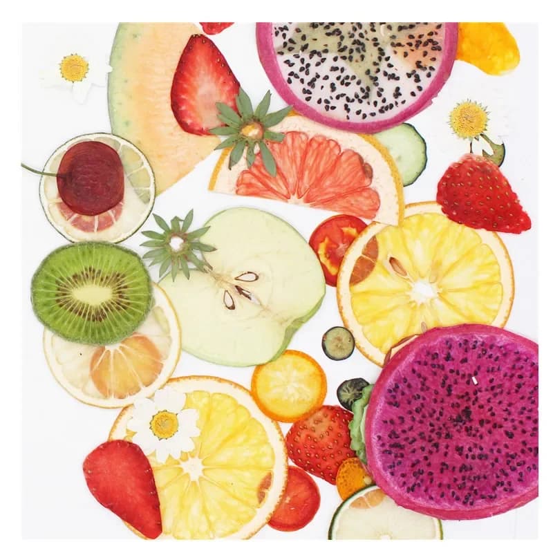 Frutta secca pressata verdura fetta pianta erbacario per gioielli cartolina invito carta cassa del telefono segnalibro candela segnalibro fai da te