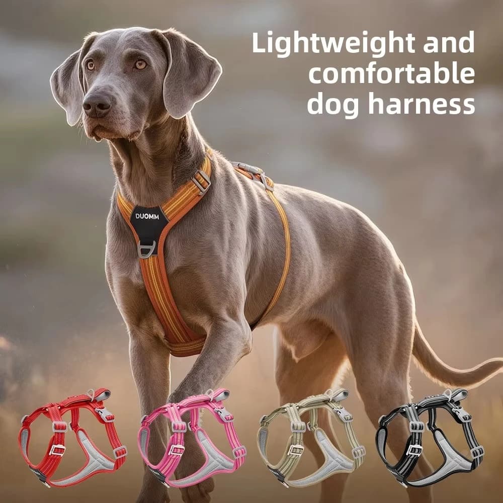 Guinzaglio per Cani con Imbracatura di Sicurezza per Auto, Fibbia a Sgancio Rapido, Doppia Impugnatura, Anti-Trazione, Riflettente, Regolabile per Uso Esterno