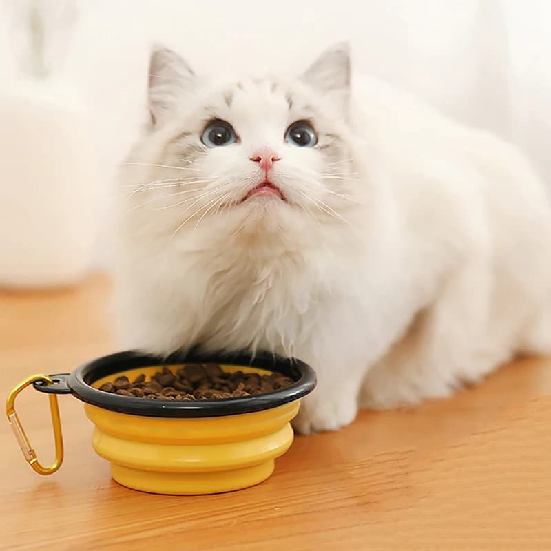 Nuovo pieghevole da 1000 ml pieghevole in silicone ciotola per animali domestici da viaggio all'aperto portatile cucciolo di gattino contenitore per alimenti