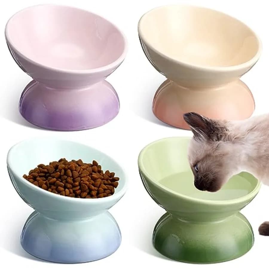 Set di 4 Ciotole in Ceramica Rialzate e Inclinabili per Gatti, Anti-Vomito, per Cibo o Acqua, Accessori per Animali Domestici