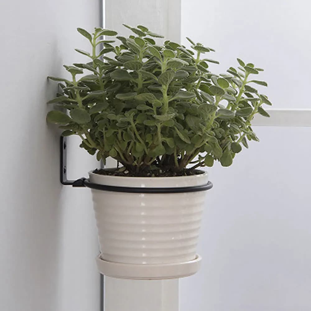 Flower Pot Trays Wall Mounted Pot Ring Holder Metal Planter Hooks Hangers Wall Bracket Plant storage rack Garden