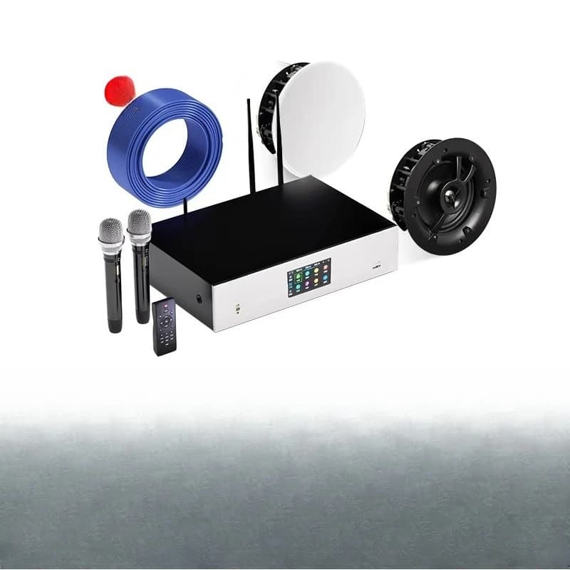 Set audio per soffitto ktv per famiglia, set completo di macchina per canto karaoke