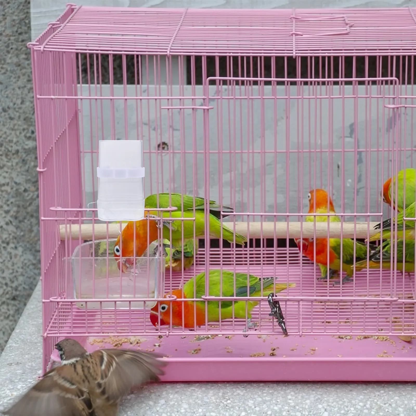 2Sets Automatic Bird Feeder Waterer Plastic Feeding Container Simple Installation Compact Size Clear View for Food Level