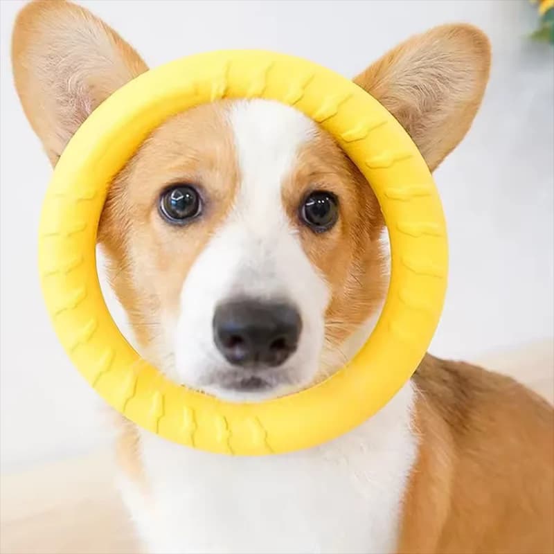 Giocattolo per Cani Resistente ai Morsi, Frisbee Circolare, Giocattolo per Addestramento all'Aperto, Palla con Corda per Masticare, Prodotti per Animali Domestici, Giocattolo Interattivo