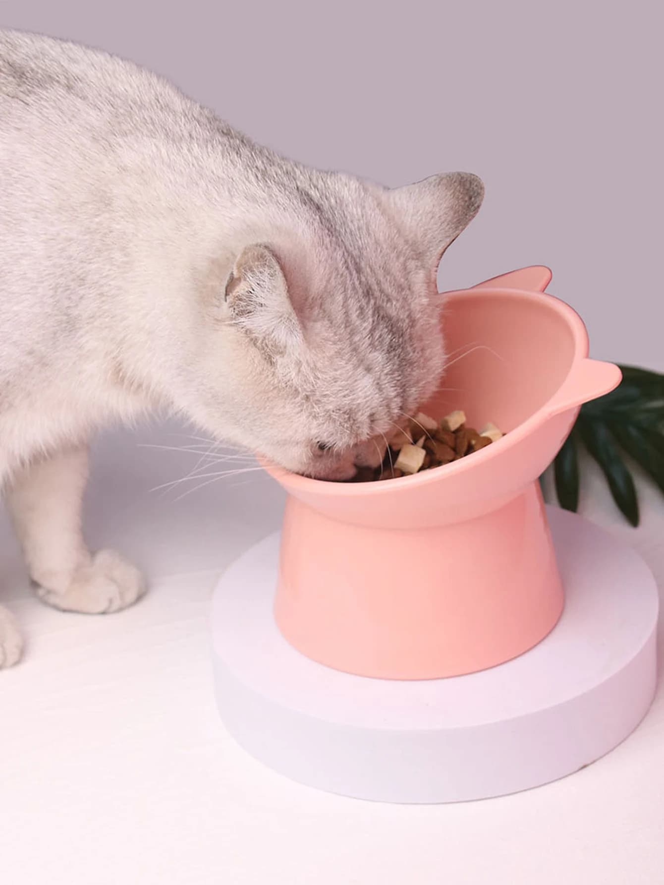 Ciotola per cibo per animali domestici Inclinazione Protezione per il collo con fondo alto Antisoffocamento Ciotola per acqua per cani e gatti Antidumping Forniture per l'alimentazione del cane